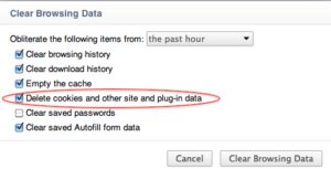 Clear Browsing data