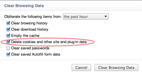 Clear Browsing data